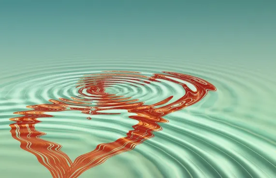 윈페스트 카지노 지원